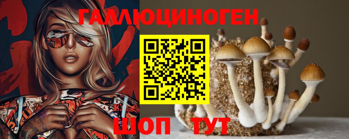 Псилоцибиновые грибы MAGIC MUSHROOMS Майский