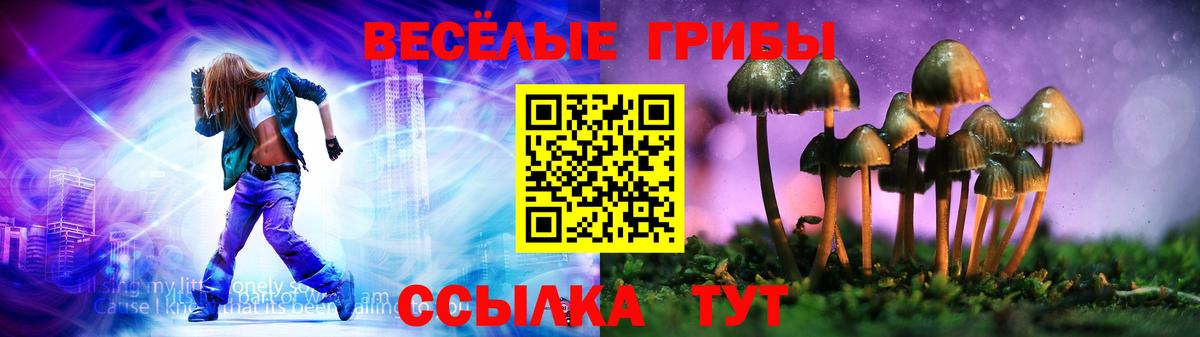 Майский  Псилоцибиновые грибы Cubensis  Вход с VPN 