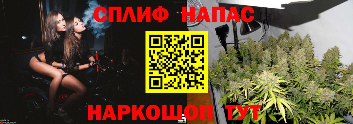 Шишки марихуана марихуана Майский